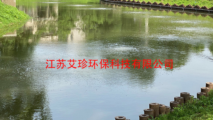 河道治理新利器：河道用微纳米曝气系统背后的“氧”生厂家.jpg