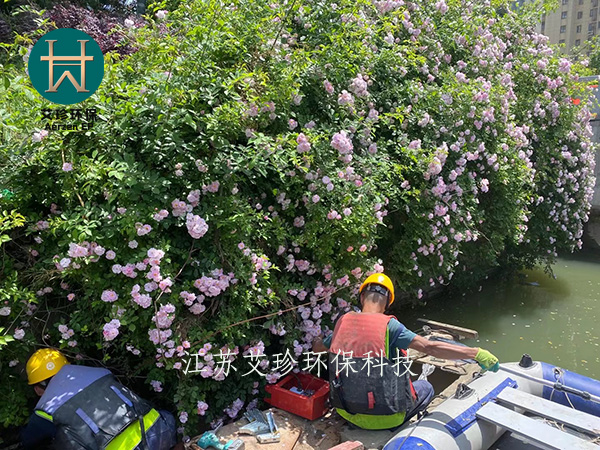 江苏艾珍沉水风机河道治理曝气